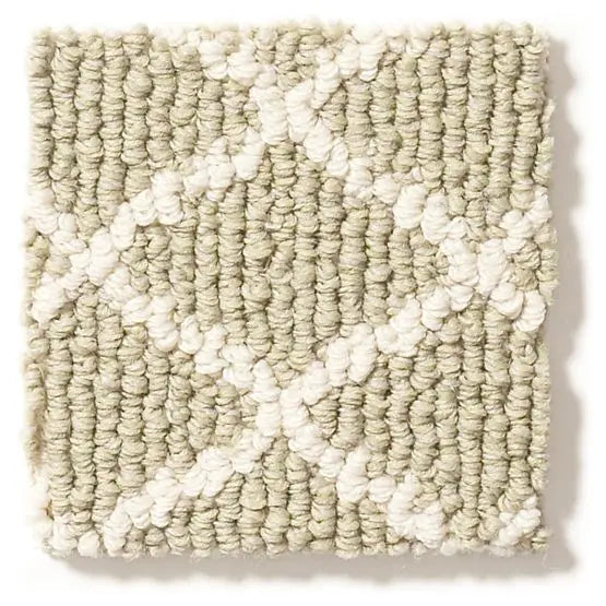 Pet Perfect - Springer's Point - Carpet Anderson Tuftex