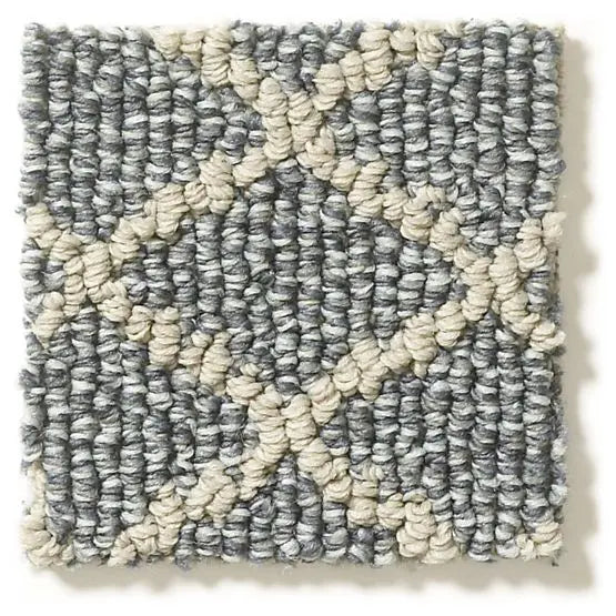 Pet Perfect - Springer's Point - Carpet Anderson Tuftex