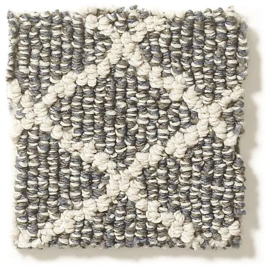 Pet Perfect - Springer's Point - Carpet Anderson Tuftex