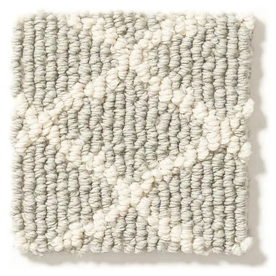 Pet Perfect - Springer's Point - Carpet Anderson Tuftex