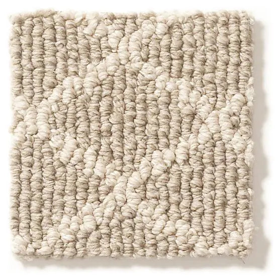 Pet Perfect - Springer's Point - Carpet Anderson Tuftex