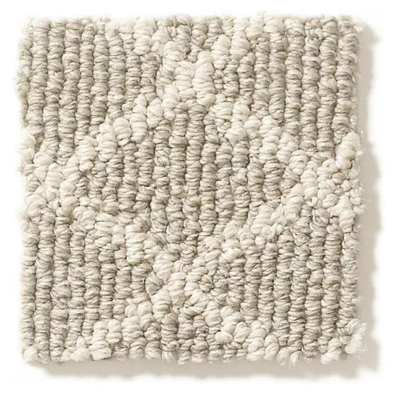 Pet Perfect - Springer's Point - Carpet Anderson Tuftex