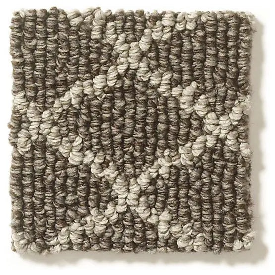 Pet Perfect - Springer's Point - Carpet Anderson Tuftex