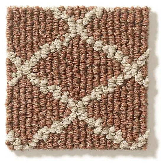 Pet Perfect - Springer's Point - Carpet Anderson Tuftex