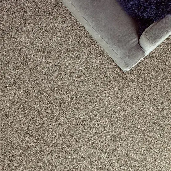 Classics - Ensemble - Carpet Anderson Tuftex