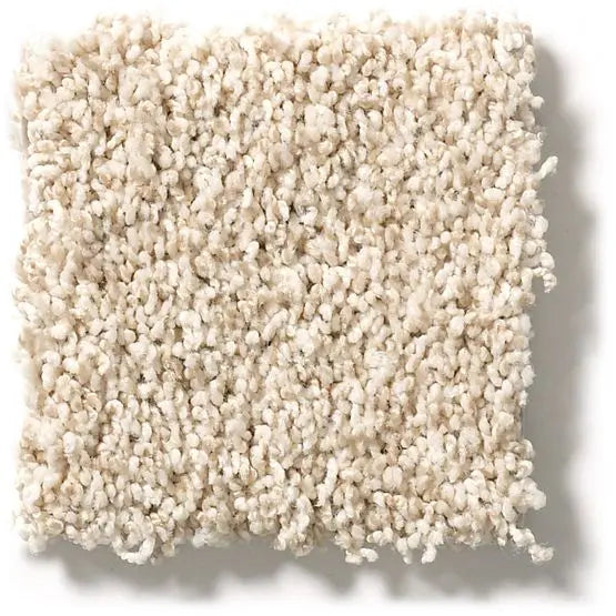 Classics - Ensemble - Carpet Anderson Tuftex