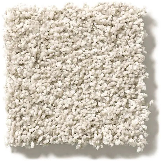 Classics - Ensemble - Carpet Anderson Tuftex