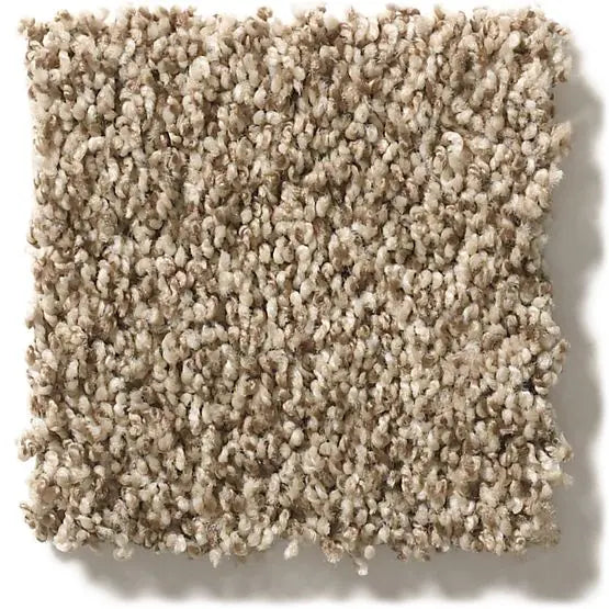 Classics - Ensemble - Carpet Anderson Tuftex