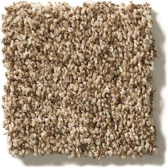 Classics - Ensemble - Carpet Anderson Tuftex