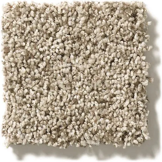 Classics - Ensemble - Carpet Anderson Tuftex