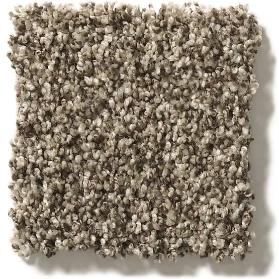 Classics - Ensemble - Carpet Anderson Tuftex