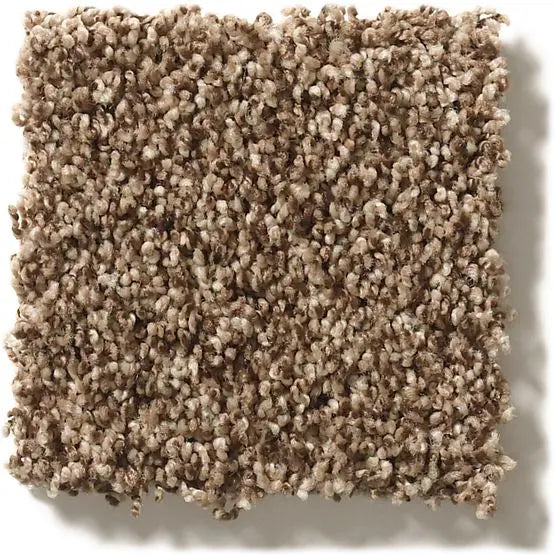 Classics - Ensemble - Carpet Anderson Tuftex