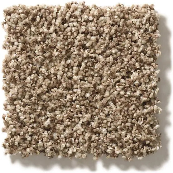 Classics - Ensemble - Carpet Anderson Tuftex