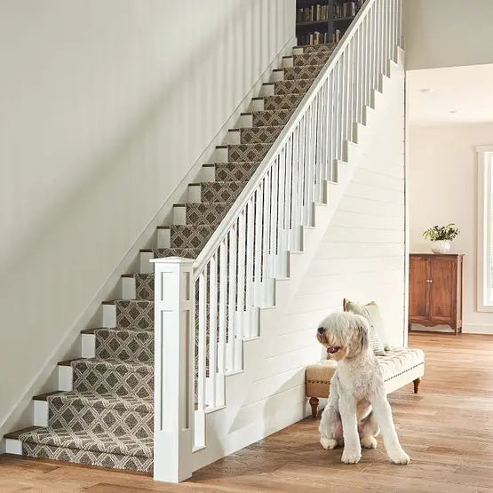 Pet Perfect - Scout - Carpet Anderson Tuftex