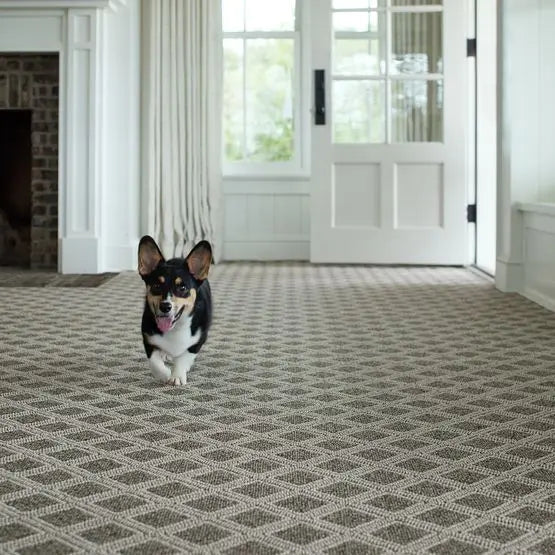 Pet Perfect - Scout - Carpet Anderson Tuftex