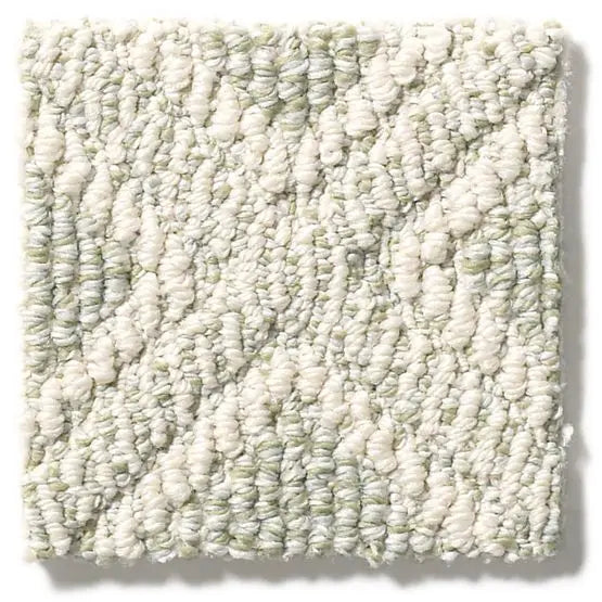 Pet Perfect - Scout - Carpet Anderson Tuftex