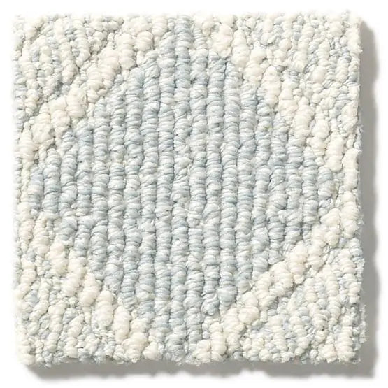 Pet Perfect - Scout - Carpet Anderson Tuftex