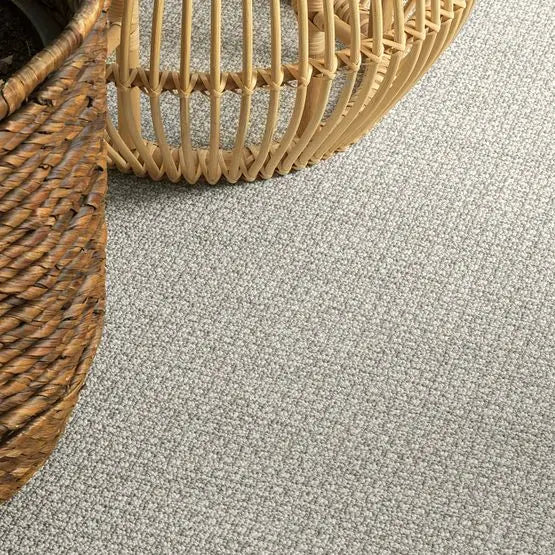 Pet Perfect - Fetch - Carpet Anderson Tuftex