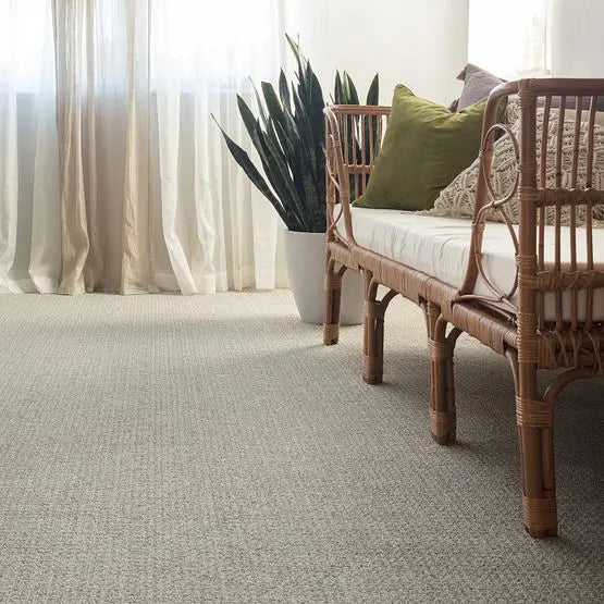 Pet Perfect - Fetch - Carpet Anderson Tuftex