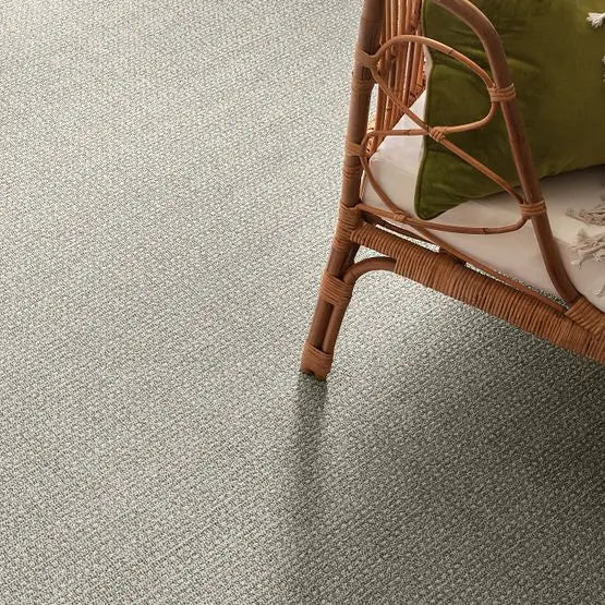 Pet Perfect - Fetch - Carpet Anderson Tuftex