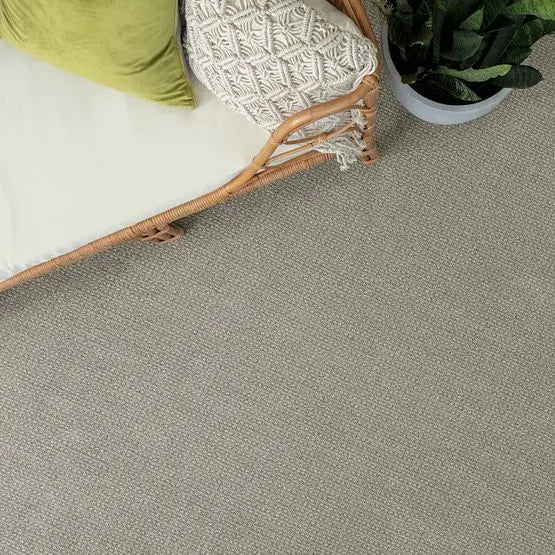 Pet Perfect - Fetch - Carpet Anderson Tuftex