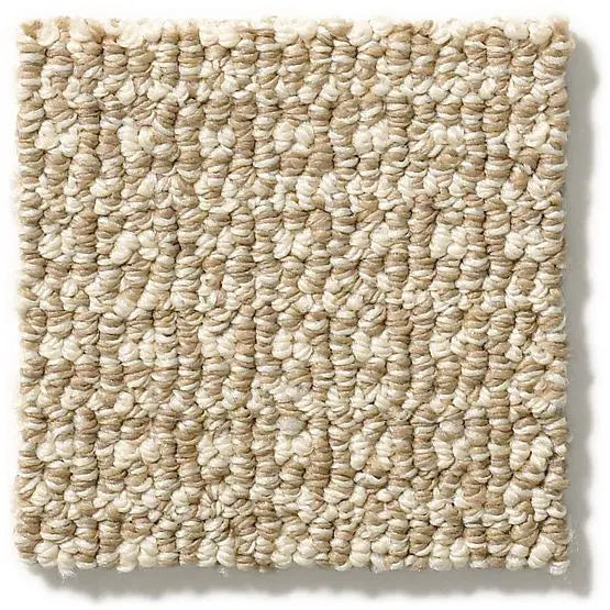 Pet Perfect - Fetch - Carpet Anderson Tuftex