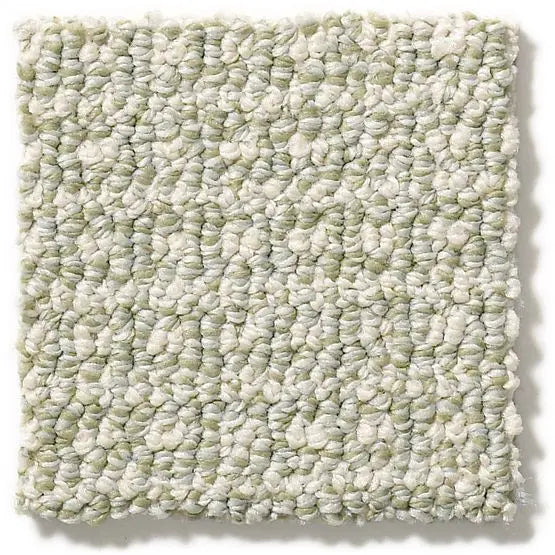 Pet Perfect - Fetch - Carpet Anderson Tuftex