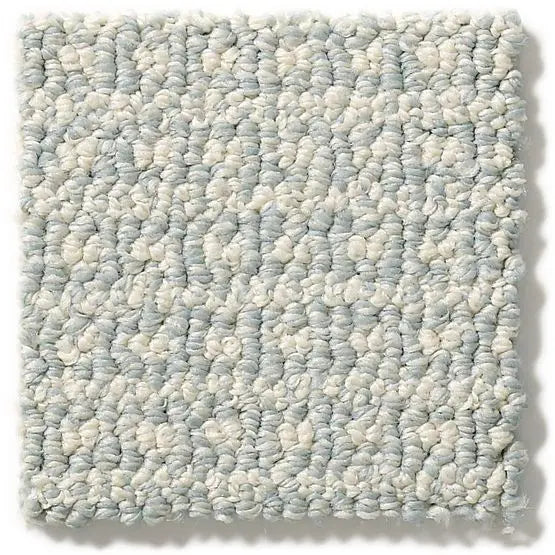 Pet Perfect - Fetch - Carpet Anderson Tuftex