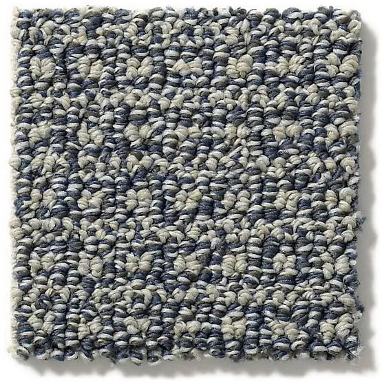 Pet Perfect - Fetch - Carpet Anderson Tuftex