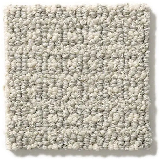 Pet Perfect - Fetch - Carpet Anderson Tuftex