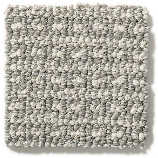 Pet Perfect - Fetch - Carpet Anderson Tuftex