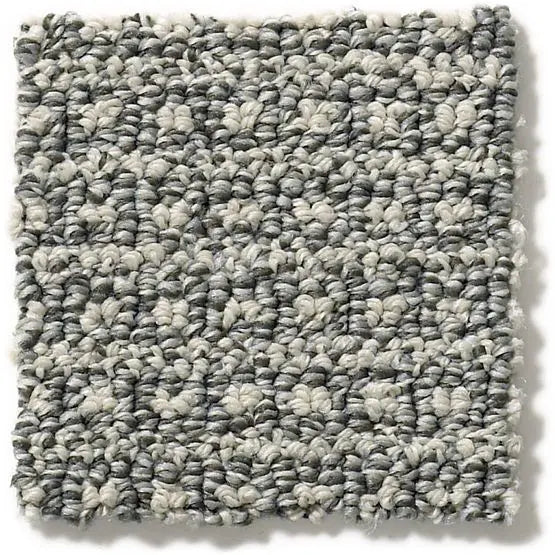 Pet Perfect - Fetch - Carpet Anderson Tuftex