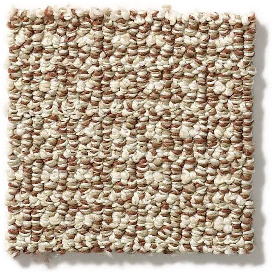 Pet Perfect - Fetch - Carpet Anderson Tuftex