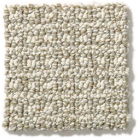 Pet Perfect - Fetch - Carpet Anderson Tuftex