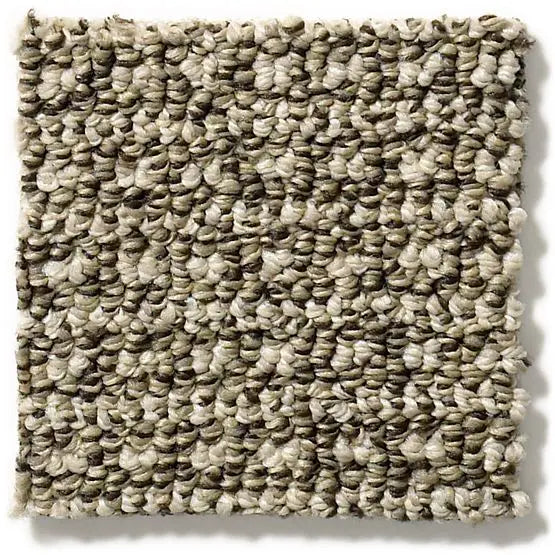 Pet Perfect - Fetch - Carpet Anderson Tuftex