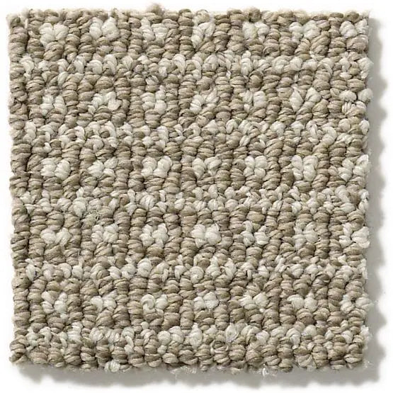 Pet Perfect - Fetch - Carpet Anderson Tuftex