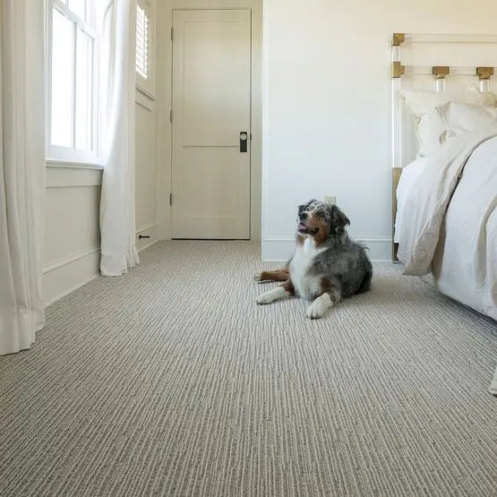 Pet Perfect - Chase - Carpet Anderson Tuftex