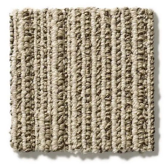 Pet Perfect - Chase - Carpet Anderson Tuftex