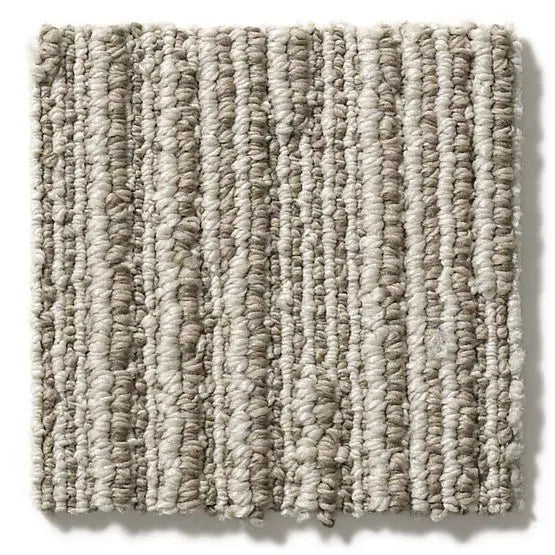 Pet Perfect - Chase - Carpet Anderson Tuftex