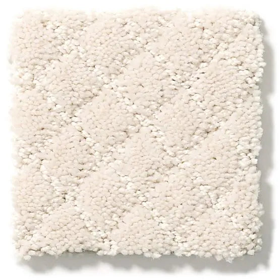 Pet Perfect - Pawnache - Carpet Anderson Tuftex