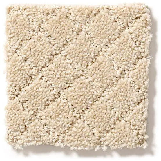 Pet Perfect - Pawnache - Carpet Anderson Tuftex