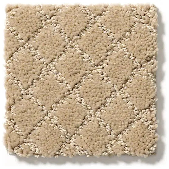 Pet Perfect - Pawnache - Carpet Anderson Tuftex