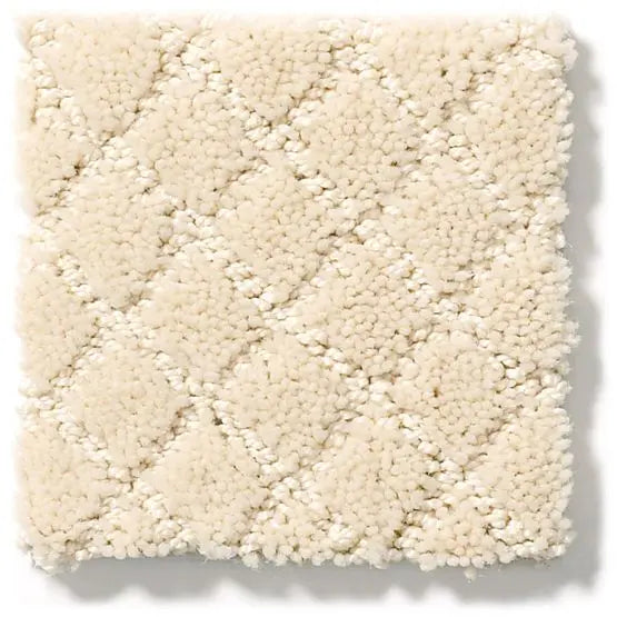 Pet Perfect - Pawnache - Carpet Anderson Tuftex