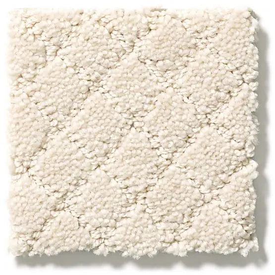 Pet Perfect - Pawnache - Carpet Anderson Tuftex