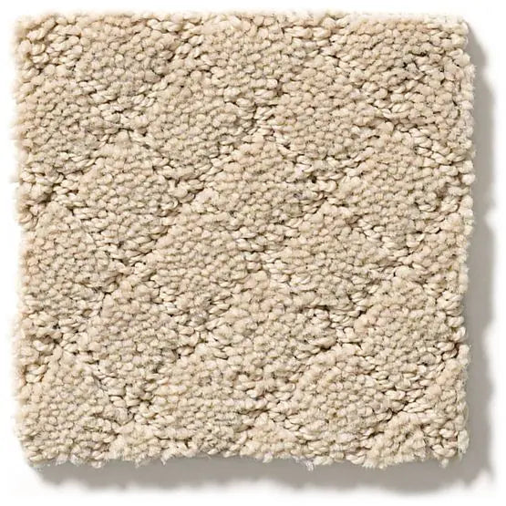 Pet Perfect - Pawnache - Carpet Anderson Tuftex