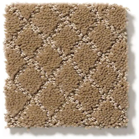 Pet Perfect - Pawnache - Carpet Anderson Tuftex