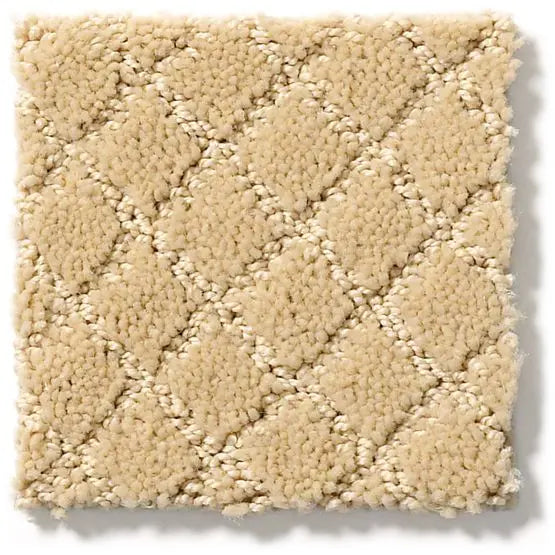 Pet Perfect - Pawnache - Carpet Anderson Tuftex