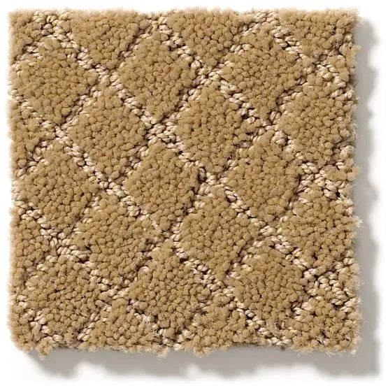 Pet Perfect - Pawnache - Carpet Anderson Tuftex