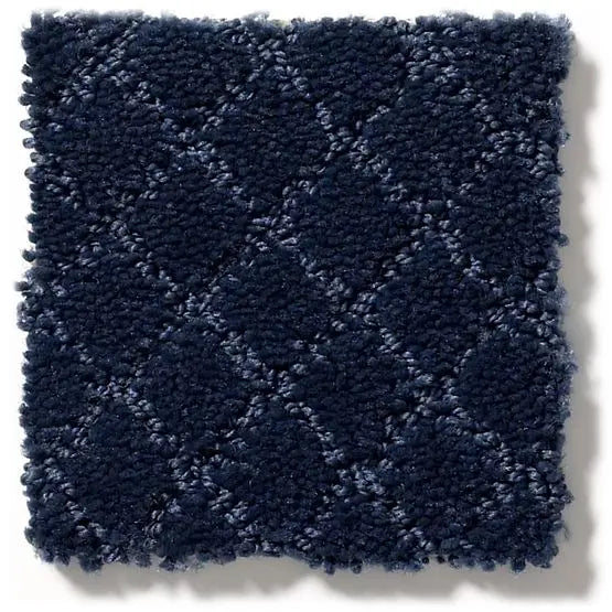 Pet Perfect - Pawnache - Carpet Anderson Tuftex