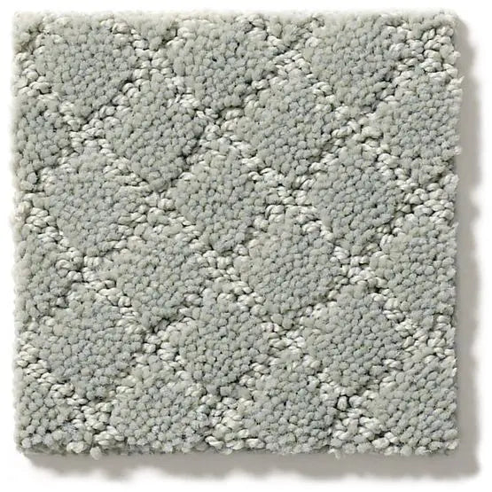 Pet Perfect - Pawnache - Carpet Anderson Tuftex